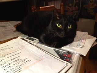 Sasha work supervisor